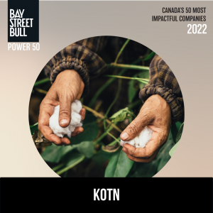 Kotn
